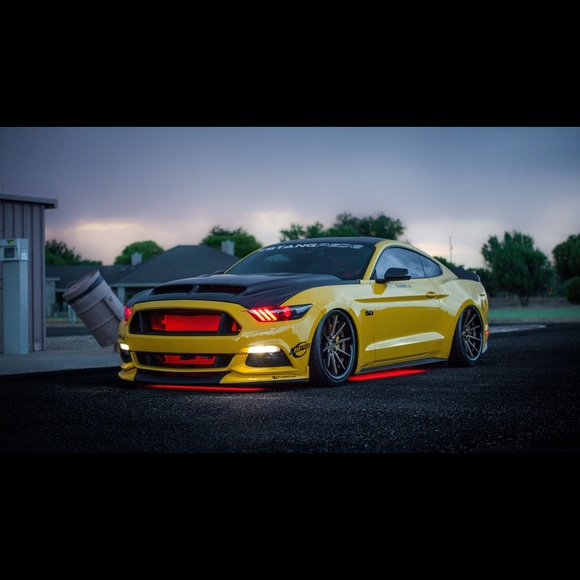 Meet your Posher, Anthony - Picture 1 of 1